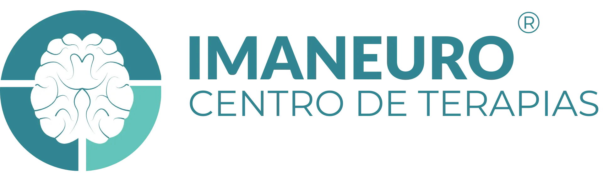 Imaneuro